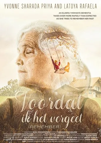 Póster de Voordat ik het vergeet