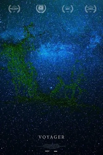 Póster de Voyager
