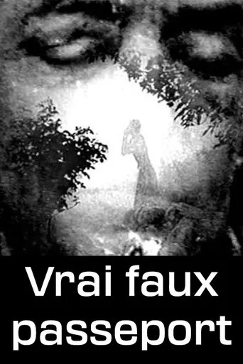 Póster de Vrai faux passeport