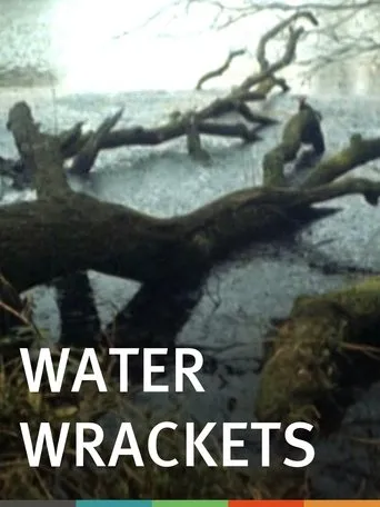 Póster de Water Wrackets