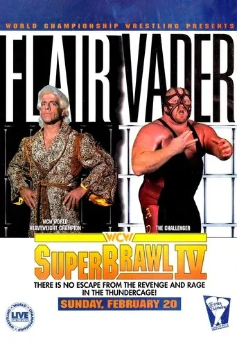 Póster de WCW SuperBrawl IV