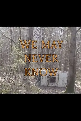 Póster de We May Never Know