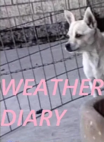 Póster de Weather Diary 3