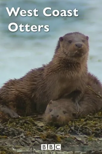 Póster de West Coast Otters