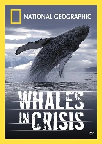 Póster de Whales in Crisis