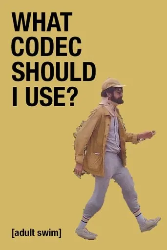 Póster de What Codec Should I Use?