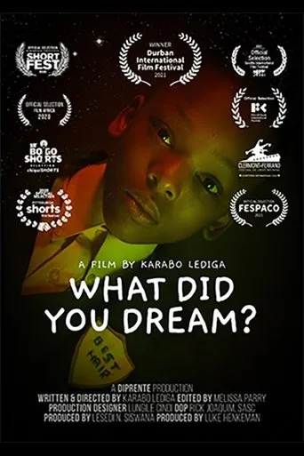Póster de What Did You Dream?