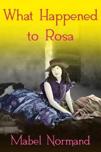Póster de What Happened To Rosa?