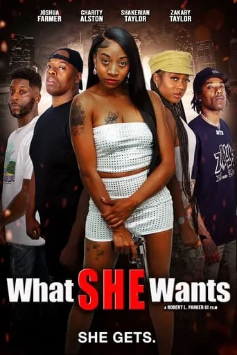 Póster de What She Wants