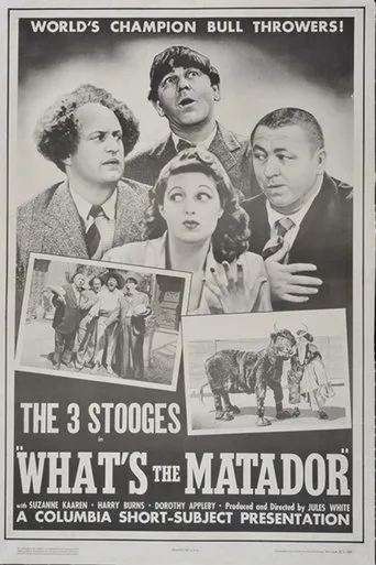 Póster de What's the Matador?