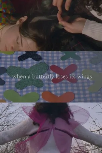 Póster de When A Butterfly Loses Its Wings
