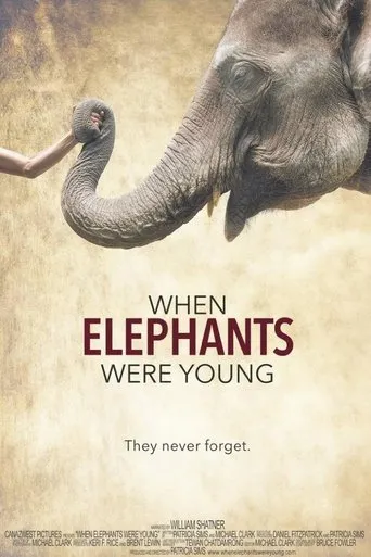 Póster de When Elephants Were Young