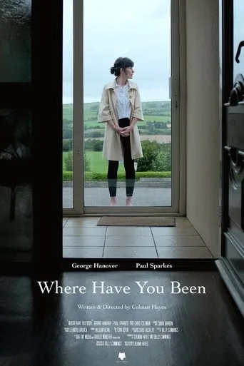 Póster de Where Have You Been