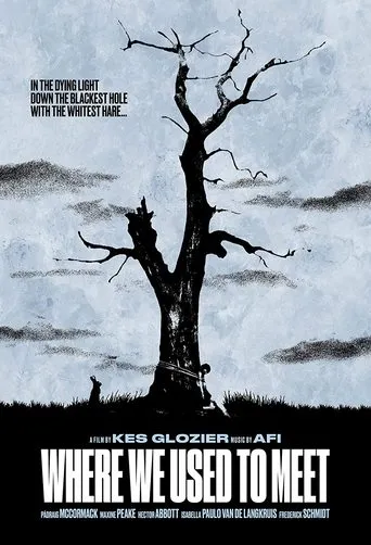 Póster de Where We Used to Meet