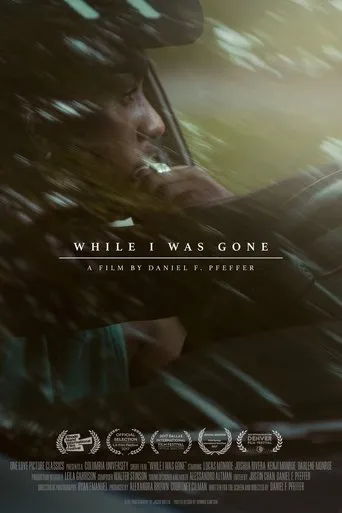 Póster de While I Was Gone