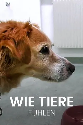 Póster de Wie Tiere fühlen