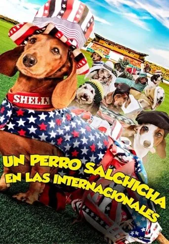 Póster de Wiener Dog Internationals