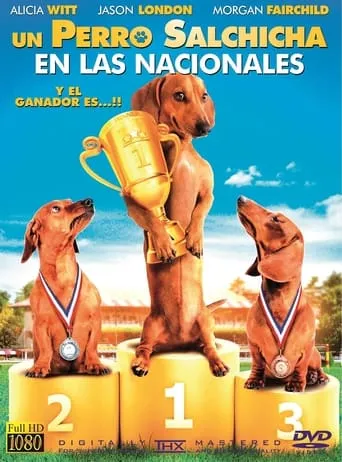 Póster de Wiener Dog Nationals
