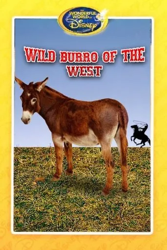 Póster de Wild Burro of the West