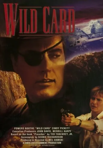 Póster de Wild Card