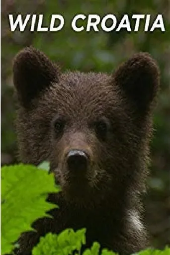 Póster de Wild Croatia