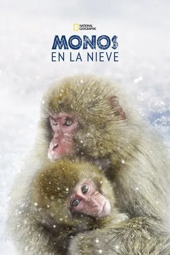 Póster de Wild Japón: monos de la nieve