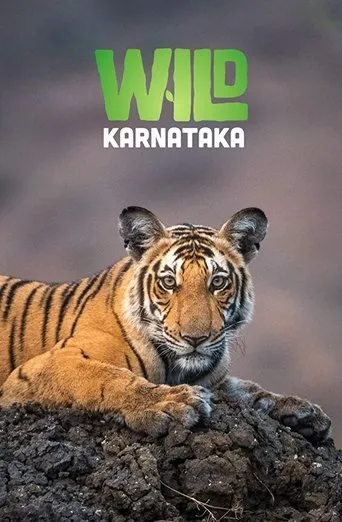 Póster de Wild Karnataka