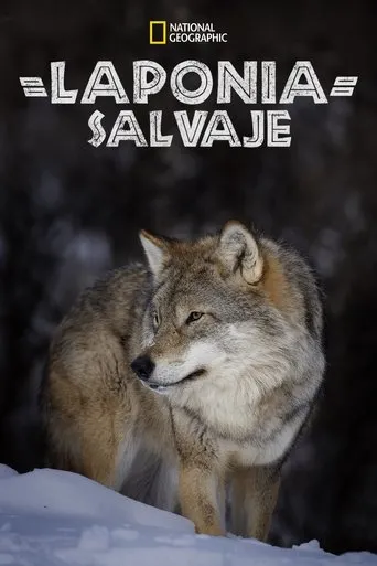 Póster de Wild Lapland