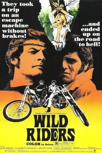 Póster de Wild Riders