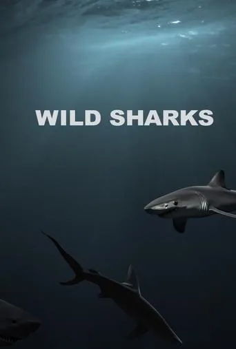 Póster de Wild Sharks