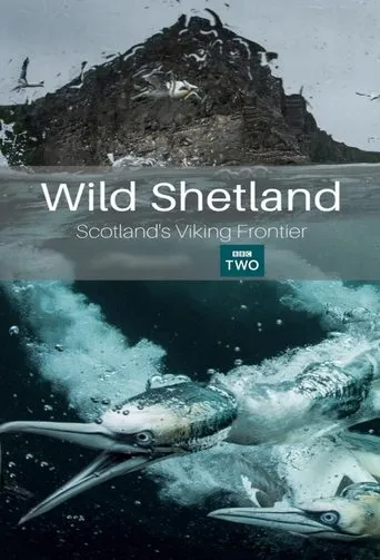 Póster de Wild Shetland: Scotland's Viking Frontier