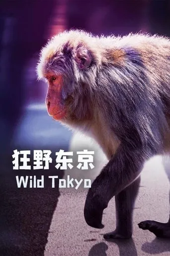 Póster de Wild Tokyo
