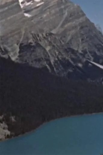 Póster de Wildlife in the Rockies
