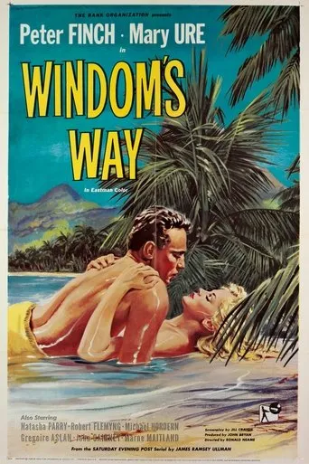 Póster de Windom's Way