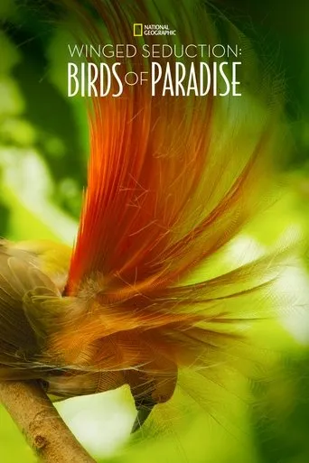 Póster de Winged Seduction: Birds of Paradise