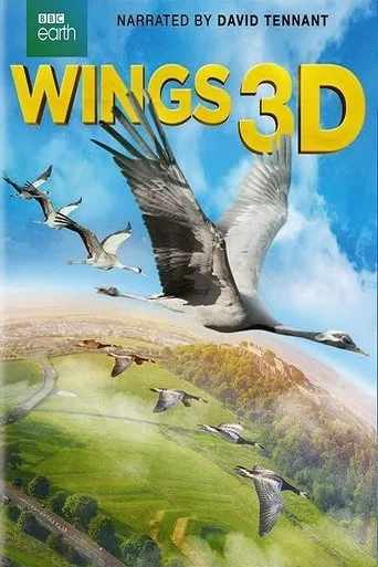 Póster de Wings 3D
