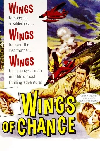 Póster de Wings of Chance