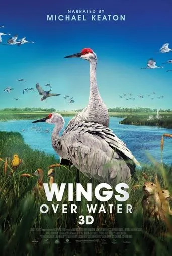 Póster de Wings Over Water