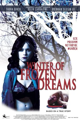 Póster de Winter of Frozen Dreams