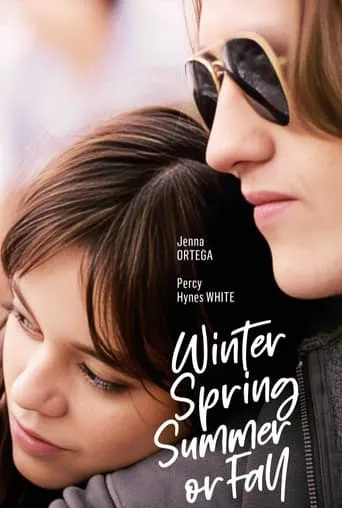 Póster de Winter Spring Summer or Fall