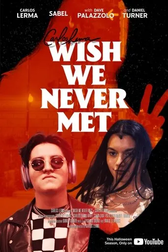 Póster de Wish We Never Met