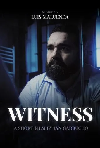 Póster de Witness