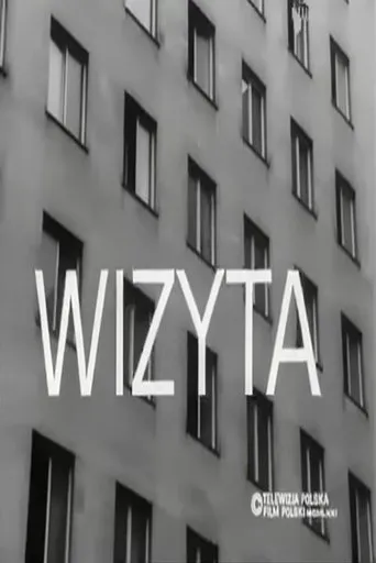 Póster de Wizyta
