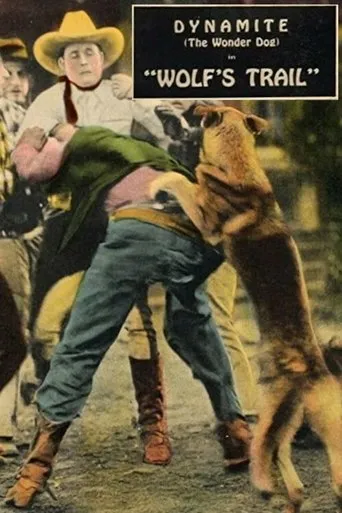 Póster de Wolf's Trail