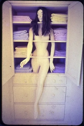 Póster de Womanhouse