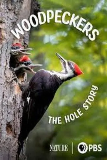 Póster de Woodpeckers: The Hole Story