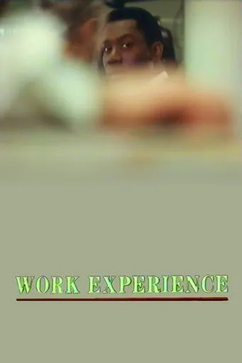 Póster de Work Experience