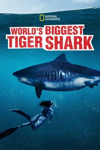 Póster de World's Biggest Tiger Shark