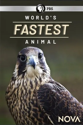 Póster de World's Fastest Animal