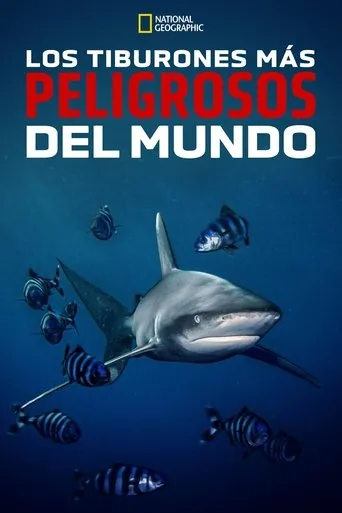 Póster de World's Most Dangerous Shark?